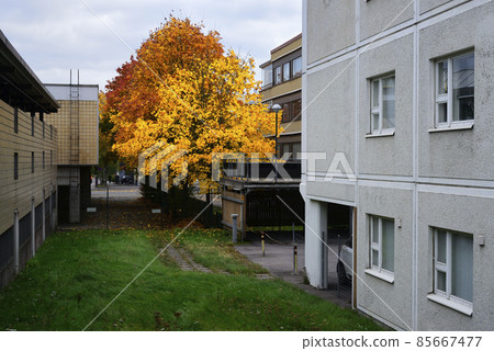 Indian summer in a residential area Indian summer in a residential area 85667477