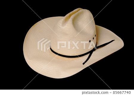 Cowboy Hat 85667740