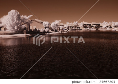 Desert Lake Homes Desert Lake Homes 85667803