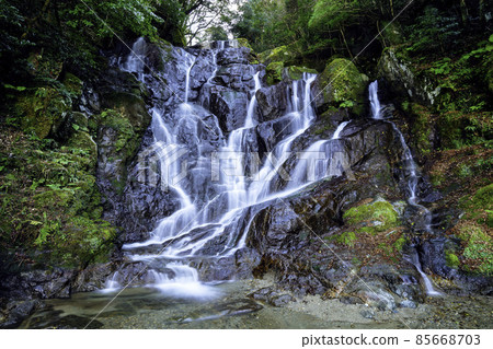 A popular spot in Itoshima, the beautiful Shiraito Waterfall (Itoshima City, Fukuoka Prefecture) 85668703