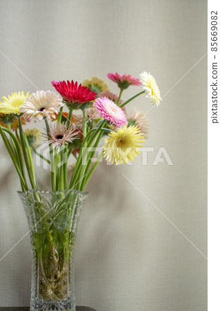 Gerbera of a vase 85669082
