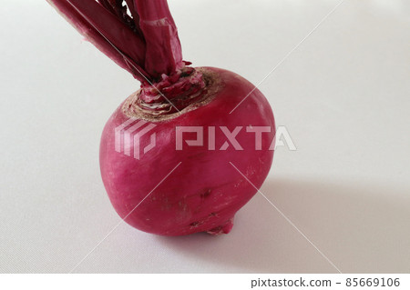 Red turnip (close-up) 85669106