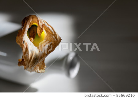 One dry beautiful dead calla lily in a ceramic vase isolated on a gray background. Modern Flower still life 85669210
