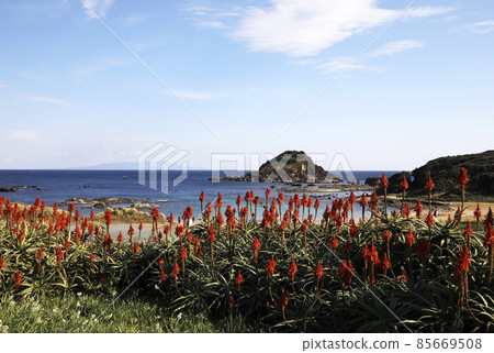 從嬬崎海岸看到的嬬木島 從嬬崎海岸看到的嬬木島 85669508