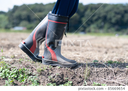 Agriculture / field work image Agriculture / field work image 85669654
