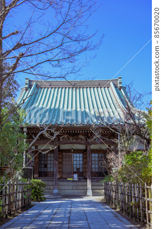 The legend of the raccoon dog, the main hall of Shojoji Temple 85670020