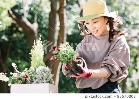 做集體種植和園藝的婦女 85670808