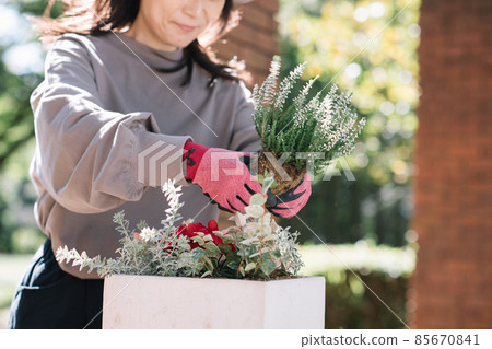 Hands of a woman planting a group 85670841