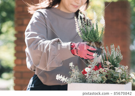 種植群的女人的手 85670842