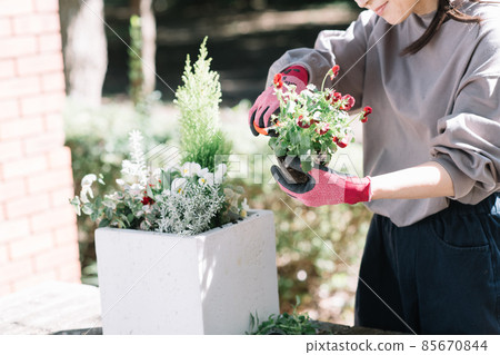 Hands of a woman planting a group 85670844