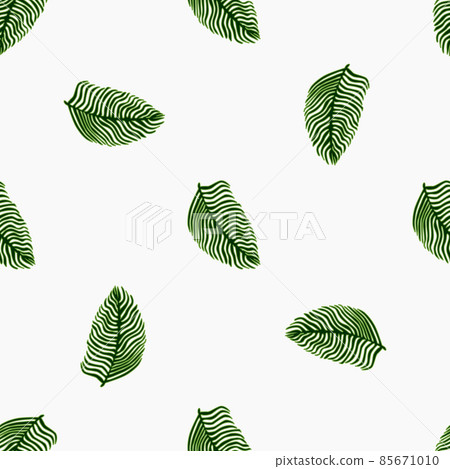 Modern palm leaf seamless pattern with hand drawn foliage print. Abstract art nature background. Vector illustration for seasonal textile. 85671010