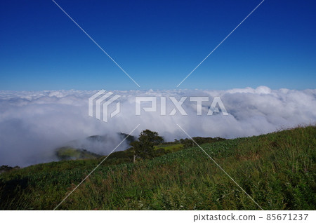 View of the sea of clouds over Ikeda Town from the site of Mt. Heko Noh Village Ranch, Ikeda Town, Imadate District, Fukui Prefecture 85671237