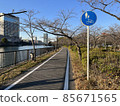 Walking along the river 85671565