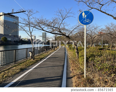 Walking along the river Walking along the river 85671565