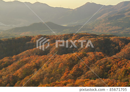 《Okayama Prefecture》 Autumn morning, scenery of Kimendai [November] 85671705