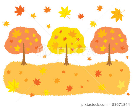 秋葉樹景觀圖 85671844