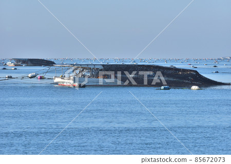 見證海藻網和冬季在明石海岸切割海藻的moguri船 見證海藻網和冬季在明石海岸切割海藻的moguri船 85672073