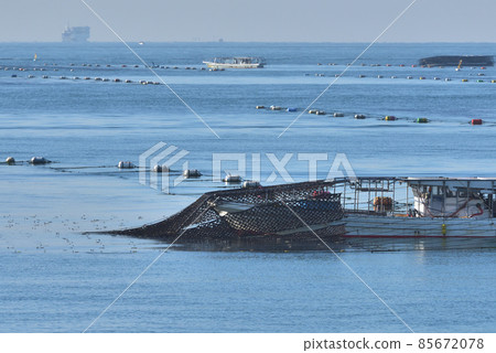A testimony seaweed net and a moguri boat that cuts the seaweed in the winter off the coast of Akashi A testimony seaweed net and a moguri boat that cuts the seaweed in the winter off the coast of Akashi 85672078