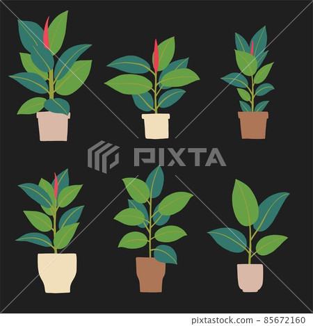 simplicity rubber fig plant freehand drawing flat design. simplicity rubber fig plant freehand drawing flat design. 85672160
