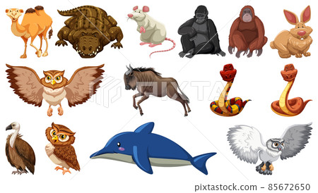 Set of different wild animals cartoon characters 85672650