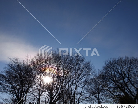 Winter grove Winter grove 85672800