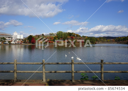 Takamatsu Pond in Autumn 85674534