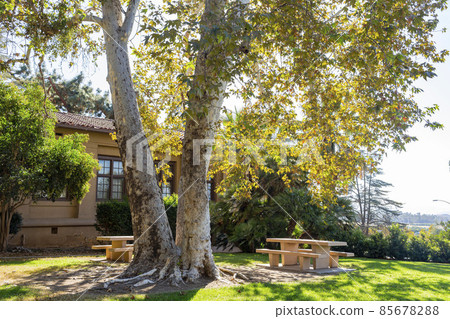 Sunny view of the campus of UC Riverside Sunny view of the campus of UC Riverside 85678288
