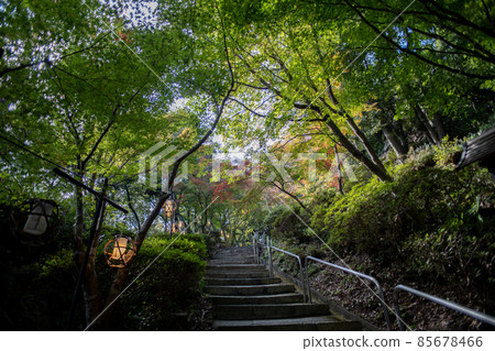 Zuiryuji Monzeki approach Zuiryuji Monzeki approach 85678466