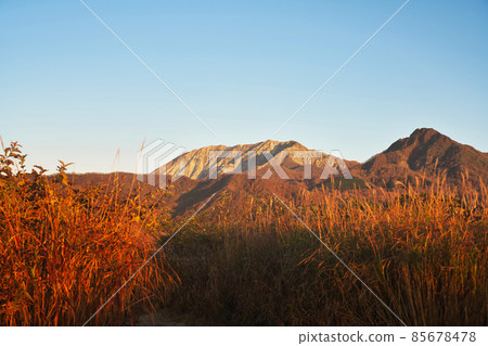 《Okayama Prefecture》 Autumn morning, scenery seen from Kimendai [November] 85678478