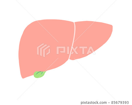 肝膽 85679393