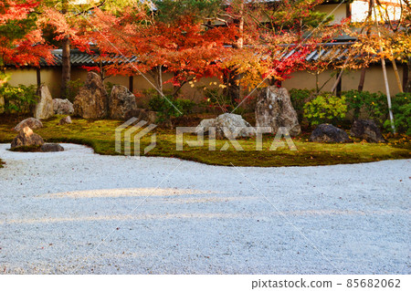 京都夕陽下閃耀的高台寺秋葉 京都夕陽下閃耀的高台寺秋葉 85682062