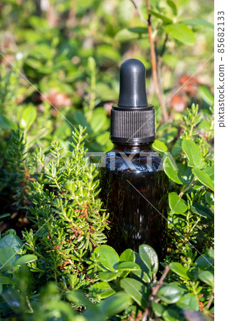 One brown glass dropper bottle with serum, essential oil or other cosmetic product in forest outdoors. Natural Organic Spa Cosmetic Beauty concept 85682133