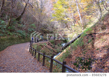 Landscape of Shiraito Falls in autumn 85683278