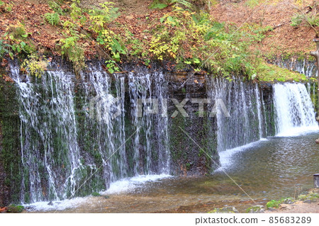 秋天的白絲瀑佈景觀 秋天的白絲瀑佈景觀 85683289