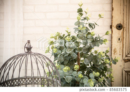 Material image of antique image 85683575