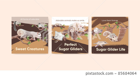 Banner template with adorble sugar gliders concept,watercolor style 85684064