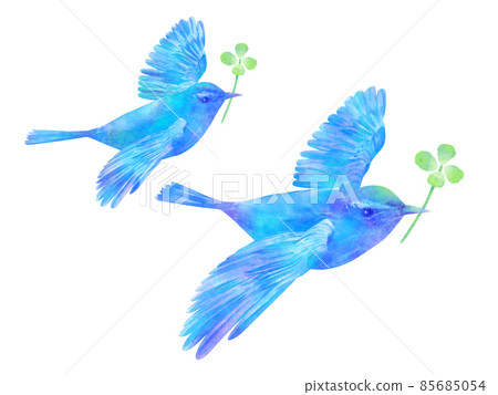 藍鳥四葉草，水彩風格，手寫風格 85685054