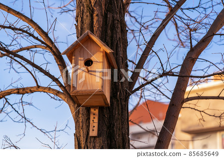 Nesting wooden box. Bird house hanging from the tree with the entrance hole in the shape of a circle 85685649
