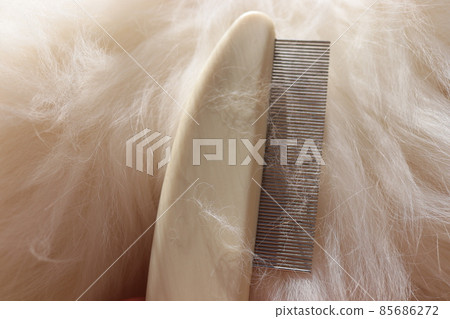 Trim pet hair and remove fleas 85686272