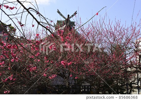 北野神社（牛天神）總部 85686368