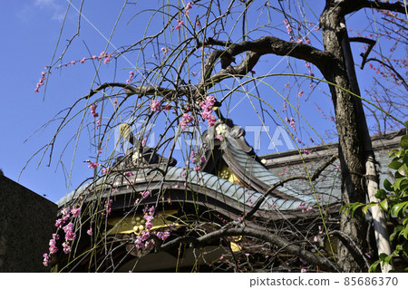 Kitano Shrine (Ushitenjin) Headquarters 85686370