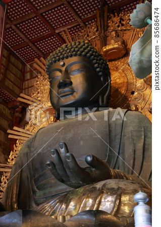 Buddha of Nara 85686474