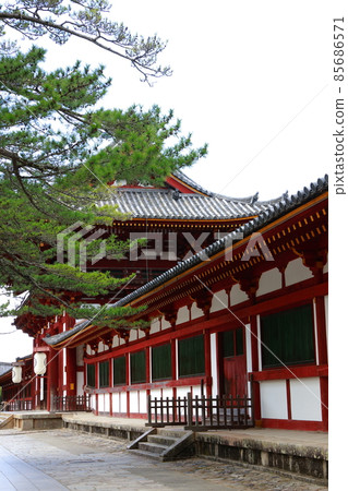 Todaiji Todaiji 85686571