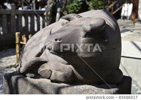 北野神社 (Ushi Tenjin) 神道 (Komagyu) 北野神社 (Ushi Tenjin) 神道 (Komagyu) 85686817