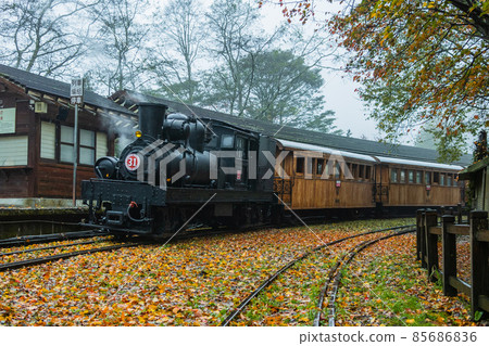 臺灣,冬季,落葉,雨水,濛濛細雨,火車,鐵道,生態,霧氣 85686836