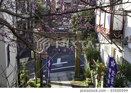 Kitano Shrine (Ushitenjin) approach Kitano Shrine (Ushitenjin) approach 85686994