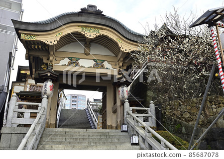 Yushima Tenjin Shrine (Yushima Tenjin) "Meotozaka" and "Toryumon" 85687078
