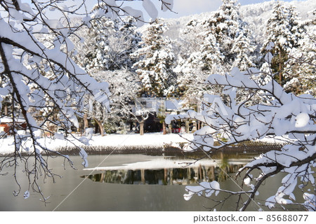 從雪櫻花枝間看到的元旦播田神社 從雪櫻花枝間看到的元旦播田神社 85688077