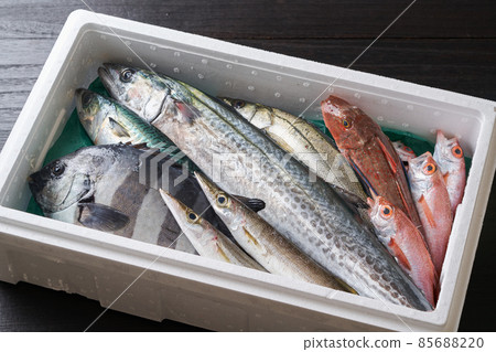 鮮魚塞在泡沫塑料中 鮮魚塞在泡沫塑料中 85688220