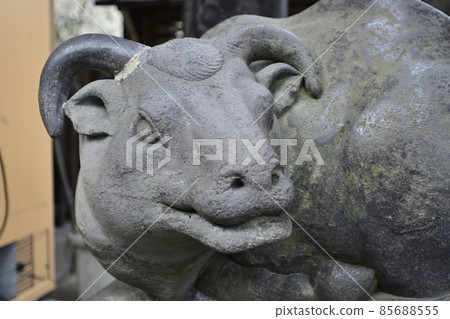 Yushima Tenjin Shrine (Yushima Tenjin) Wo cow statue Yushima Tenjin Shrine (Yushima Tenjin) Wo cow statue 85688555